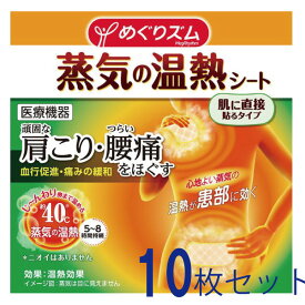 【旧タイプ特価】 10枚セット　めぐりズム 蒸気の温熱シート 肌に直接貼るタイプ 花王 送料無料