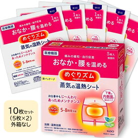 10枚セット　めぐりズム 蒸気の温熱シート 下着の内側面に貼るタイプ 花王 送料無料