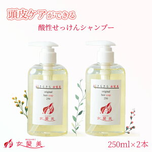 炳 Vv[ 250ml 2{ Zbg ӂ Vv[ p ё΍ ё΍ ̂ Vv[ nRV {[ GCWOPAVv[ NW