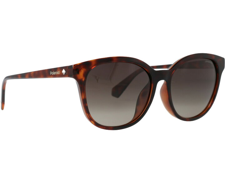 豊富なギフト ポラロイド Polaroid メンズ メガネ サングラス Classic Retro Sunglasses In Havana Tort HAVANA pharmapathway.com 豊富なギフト ポラロイド Polaroid メンズ メガネ サングラス Classic Retro Sunglasses In Havana Tort HAVANA pharmapathway.com