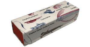 TJG z[fBOP[XJ-13 VJCM BE KlP[X  ዾP[X fB[X Y  j q v[g Mtg ߂˃P[X Vv