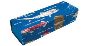 TJG z[fBOP[XJ-13 VJCM BL KlP[X  ዾP[X fB[X Y  j q v[g Mtg ߂˃P[X Vv