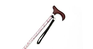 XebL Lk Lk^Cv VniK AS-10WF XebL  ₷  y  j     Y 蕨 Mtg 70{ 