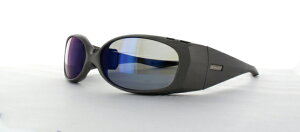 m[TCh NS-004SV/GR +2.50 Ό ~[Y ㉺]\VዾtΌTOX i͘VᕔɂĕΌTOXƂĎgp