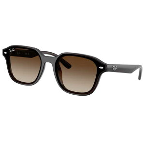 ���C�o�� �T���O���X RayBan RB4458D 714/13 65�T�C�Y �_�[�N�u���E�� �O���f�[�V���� �x�t�� �� �x�Ȃ� �����Y ���f�B�[�X �j���p �����p rayban UV�J�b�g UV ���O���J�b�g ���O���΍� ������� �v���[