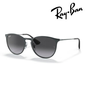 Ray-Ban ���C�o�� �T���O���X ERIKA METAL RB3539 192/8G 54mm �O���[ �G���J ���^�� �������K�i �ۏ؏��t�� UV�J�b�g