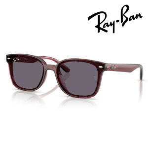 Ray-Ban ���C�o�� �T���O���X RB4461D 659373 64mm �g�����X�y�A�����g�_�[�N�u���E�� ���O�� UV�J�b�g �������K�i �ۏ؏��t
