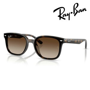 Ray-Ban ���C�o�� �T���O���X RB4461D 710/13 64mm �n�o�i ���O�� UV�J�b�g �������K�i �ۏ؏��t