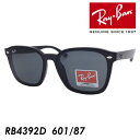Ray-Ban レイバン サングラス RB4392D 601/87 66mm 紫外線 UVカット 国内正規品 保証書付 大きいサングラス