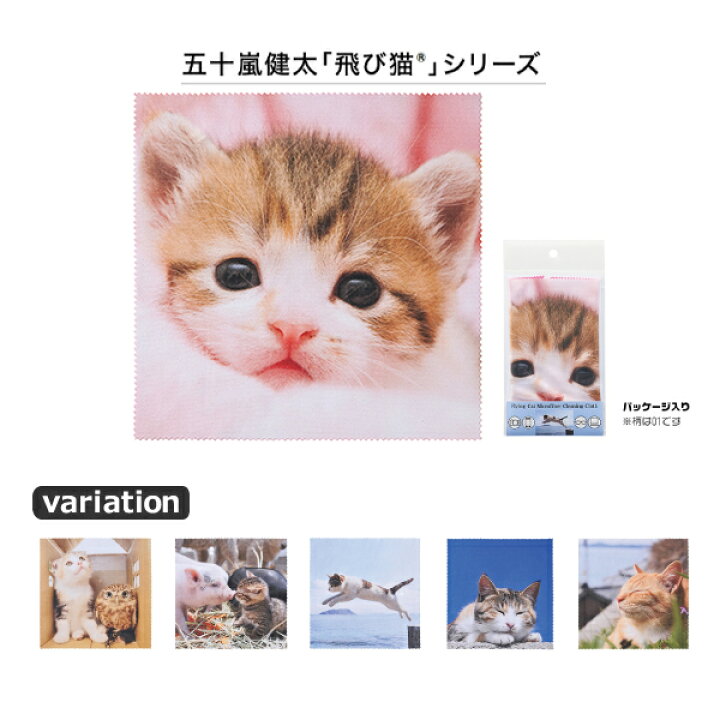 楽天市場 飛び猫 メガネ拭き 3222 N かわいい ネコ ふくろう コブタ クリーニングクロス 眼鏡拭き スマホクリーナー メガネ サングラスのリュネ2号店 楽天市場 飛び猫 メガネ拭き 3222 N かわいい ネコ ふくろう コブタ クリーニングクロス 眼鏡拭き スマホクリーナー メガネ サングラスのリュネ2号店