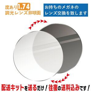 Y Kl̃Y Y x 1.74񋅖 OɔĐFςI ̃Kl Y ܂ ȒPɊዾ̃YEւł܂ ߎE