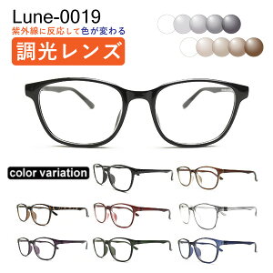 ԌIGg[Ń|Cg10{Kl񂪑I񂾃RXpKl Lune-0019 xt Y x背Y+{߂ː@+zP[Xt ዾ ߎ  