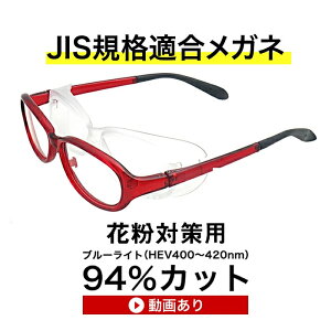 花粉メガネ めがねの人気商品 通販 価格比較 価格 Com