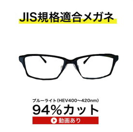 ザ”サプリメガネ5635　遠近両用メガネ【 国産高性能、東海光学ルティーナレンズ】【JIS規格適合メガネ】アイケアメガネおしゃれ　くもり止めクロス付 ブルーライトカット テスター付 お買い物マラソン スーパーセール