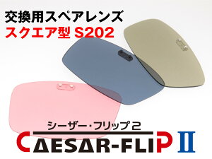 pXyAY CAESAR-FLIP2 O| ΌTOX XNGA^ S202