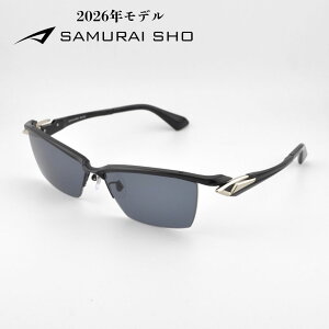 哀川翔 サングラス」の人気商品一覧 | 安い商品を通販サイトから探す 