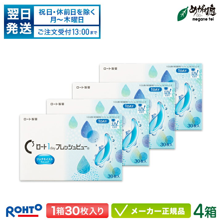 楽天市場】【翌日発送】ロート ワンデーフレッシュビュー リッチ 