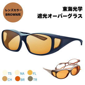 Viewnal ビューナル　遮光眼鏡　オーバーグラス TS NA FL CH BR TR