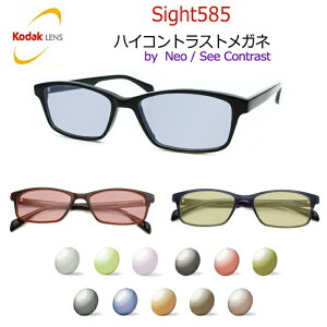 Kodak Sight585 �n�C�R���g���X�g�T���O���X�@82-091�@�X�N�G�A�@55�T�C�Y�@�Z���@�h῁@�܂Ԃ����΍� �y�x�Ȃ������i�z�@�R�_�b�N�Ё@NeoContrast/SeeContrast�x�[�X�̃A�N�e�B�u�����Y�@�T�C�g585�@