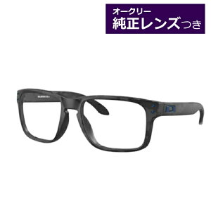 I[N[YKl OX8100F 56TCY zubNRX(A) HOLBROOK RX(A) x x xȂ t[ Klt[ _e߂ ɒB ዾ OAKLEY [ubWtBbg AWAtB