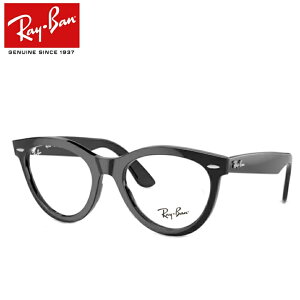 Y Co Kl RX2241VF 2000 ubN  51TCY@x x xȂ t[ Klt[ _e߂ ɒB ዾ@Ki RayBan Ray-Ban WAYFARER WAY EFCt@[[EF