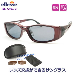 yɃY\IyellesezGbZX|[cTOX@ES-AF01@3@ΌOCuE@hCu@EH[LO@AEghA@Y@O΍@yPOLAΌz