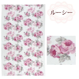KN oX^I 픧 dK[[ K[[n o [Y 70×120cm { 100 t[ }[ ~fB [V[ W[oX^I