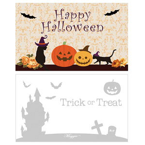 nEB |XgJ[h ~j z p[eB TNXJ[h bZ[WJ[h 20 Zbg MtgJ[h O[eBOJ[h hTCY ҏ ڂ pvL ΂ L lR 