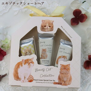 nhN[ L ObY Mtg G v[g ~jTCY L ˂ lR 킢 a  ̓ hV̓ zCgf[ lC  fB[X j oYj ޏ  N