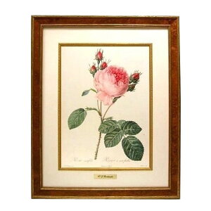  hD[e V[Y o} tHI  ؒt[ ؐCi[ ^Jv[g G Redoute KN [Y o Rose