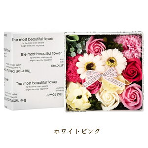  Mtg a \[vt[ {bNX  tOX  Iׂ   Ό t[\[v sv  J[h AW t[ bsO bZ[WJ