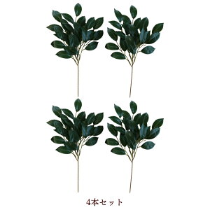    tFCN  A Zbg sv i    ͂Ȃ y ŋz 1 2