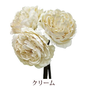  u[P CeA A[eBtBVt[ sIj[ t[AWp oh [u N[ x_[ uE O[ A[gt[ fBXvC AW 䉖 V