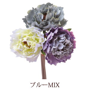  u[P CeA t[AWg IV A[eBtBVt[ sIj[ oh AW u[ x_[ N[ p[v 䉖 VNN