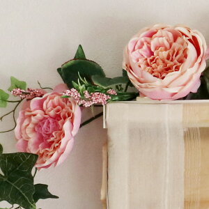  CeA t[AWg  t EFJ{[h KN A[eBtBVt[ AW [YG LxbW[Y K[h [u N[ zC