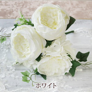 u[P  CeA KNG t[AWg ԑ IV KN o A[eBtBVt[ AW KNG  EFJ{[h EFfBO v[g Mt