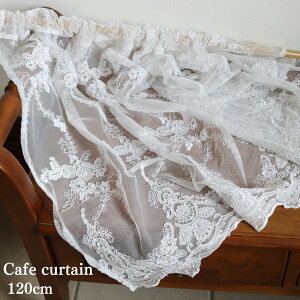 JtFJ[e  [X p k `[ zCg  hJ  t[ 120cm o gC Z ډB _  i`  I