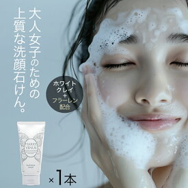 【美ST掲載】 エイジングケア 洗顔フォーム 毛穴黒ずみ クレイ 洗顔料 洗顔 泥 泡 角質 ハリーヴィーナス プラチナウォッシュ 【100g × 1本 】 石けん 石鹸 毛穴 洗浄 せっけん 美容 スキンケア 年齢 肌 乾燥 ケア 保湿 ヒアルロン酸 送料無料