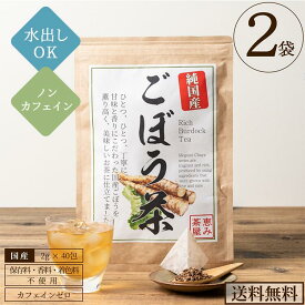 【定期初回1980円 / 2袋セット】国産 ごぼう茶 2g×40包 ごぼう100％(北海道・宮崎県・徳島県産) ティーバッグ ティーパック ノンカフェイン 添加物不使用 無添加 恵み茶屋 水出し 【NP】