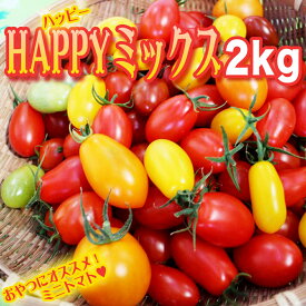 春の完熟トマト・生産農家直送【こだわり栽培】栄養満点！おやつにもどうぞ！アイコ・ラブリーサクラ・欲張りミックス2キロ