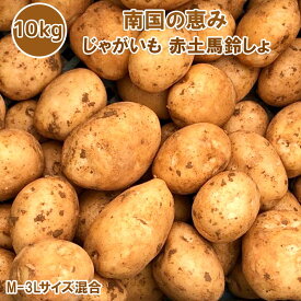 新じゃがいも 送料無料 10kg M~3Lサイズ混合 赤土 新じゃが 九州鹿児島徳之島産 にしゆたか 贈物 ギフト 長期保存 箱買い 南国野菜 南の島 産地直送 馬鈴薯 南国の恵み 新ばれいしょ じゃが芋