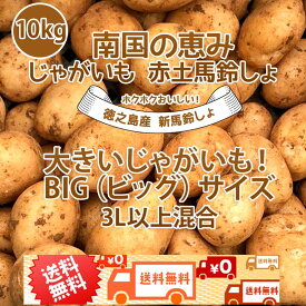 大きいじゃがいも！ BIG(ビッグ)サイズ混合 2L以上～10kg 新じゃがいも 送料無料 赤土 新じゃが 九州鹿児島徳之島産 にしゆたか 贈物 ギフト 長期保存 箱買い 南国野菜 南の島 産地直送 馬鈴薯 南国の恵み 新ばれいしょ じゃが芋【2024年】