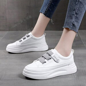 Xj[J[ fB[X EH[LOV[Y jZbNX [Jbg  Xj[J[ fB[X  ^ {[\[C Xj[J[ p C t  H ʋ ʊw C y X