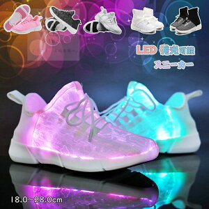 Xj[J[ fB[X ^C RtH[gV[Y X|[c   @\ t EB[V[Y V LbY l q C ̎q j̎q Xj[J[ Y ʋC USB[d _XXj