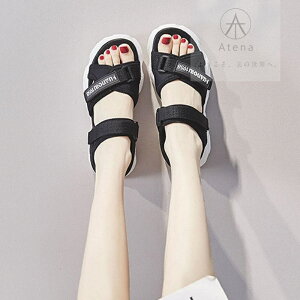 T_  X|[cT_ T_  r l ăT_ AEghA K s ɂ t o 킢 ₷ r[`T_ _bhT RtH[g