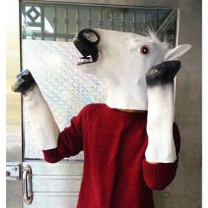 蕨 }XN n nEC Cxg RXv RX`[ Aj}}XN  ]    ACe uE zCg ubN 낢 ] ߑ RX`[ RXv