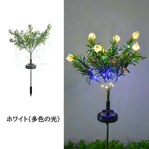 yV1ʓ܁y2{ZbgzO \[[Cg  K[fCg ߍݎ h   Y zpl[d _/ dC[ tȒP LED\[[Cg 