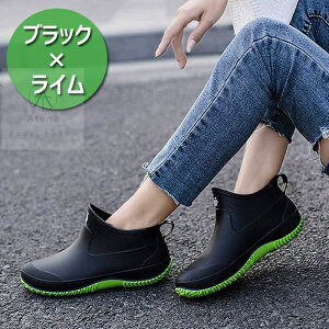 CV[Y Cu[c THOM WILLS V[g Y fB[X jp h C yA JC Sh _ \tg Xj[J[ V[gu[c o[V[Y ~ _炩 J