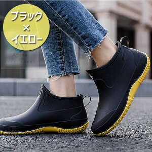 CV[Y Cu[c THOM WILLS V[g Y fB[X jp h C yA JC Sh _ \tg Xj[J[ V[gu[c o[V[Y ~ _炩 J