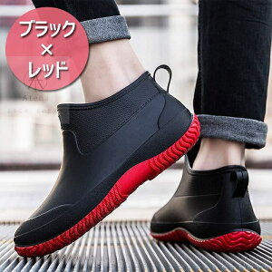 CV[Y Cu[c THOM WILLS V[g Y fB[X jp h C yA JC Sh _ \tg Xj[J[ V[gu[c o[V[Y ~ _炩 J